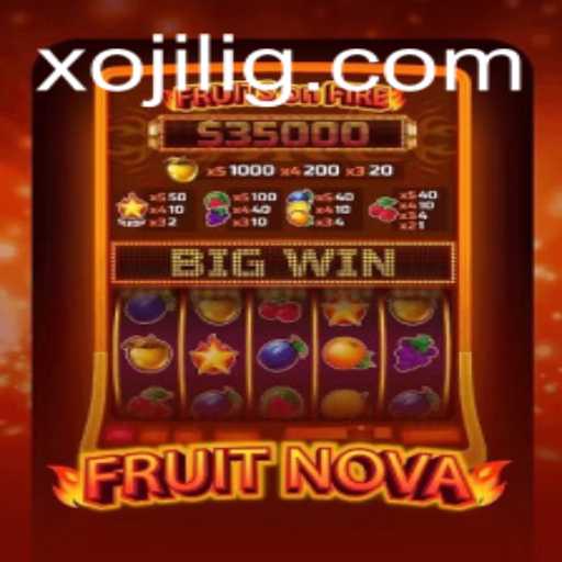 FruitNova: A Journey Into a World of Vibrant Colors and Strategy