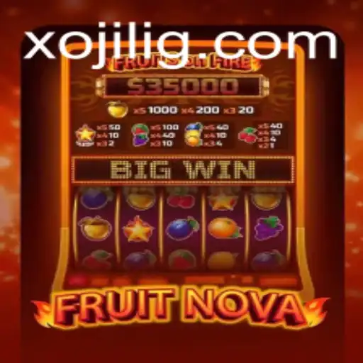 FruitNova: A Journey Into a World of Vibrant Colors and Strategy